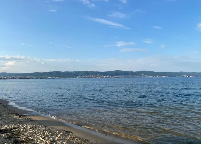 Esperanto 403 Large Sunny Daire *