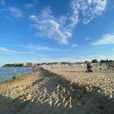 Esperanto 403 Large Sunny * Słoneczny Brzeg